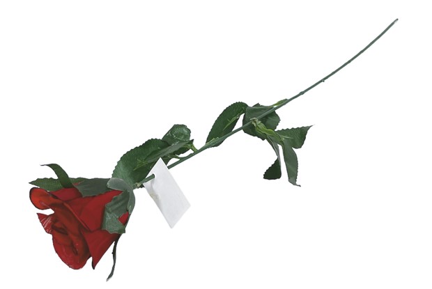 Роза единична прибрана червена 65 см /10 броя в стек/