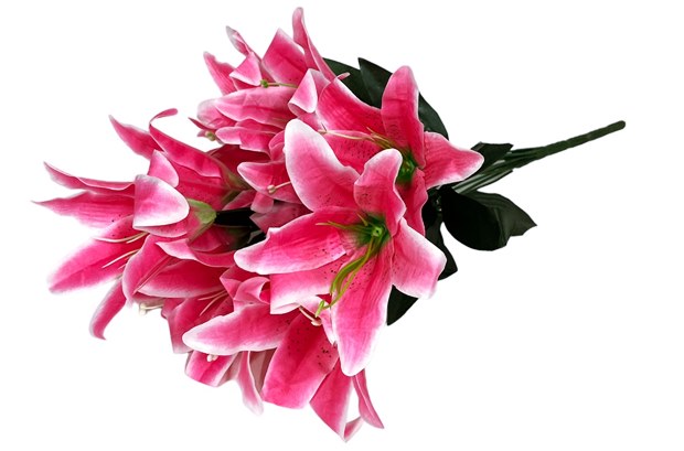 Букет цветя 12ка розово 55 см /2 броя в стек/